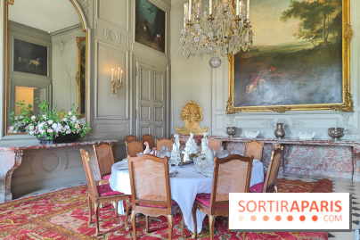 Château de Champs-sur-Marne, visuels