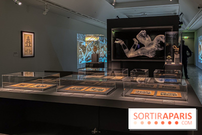 Exposition Bronzes royaux d'Angkor, un art du divin au Musée Guimet  - IMG 5275