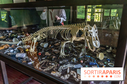 Le parcours d'art contemporain du Hangar Y se renouvelle  - A7C07322