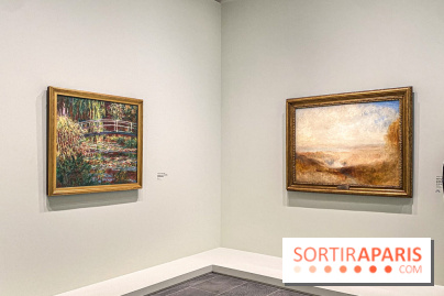 Dans le Flou, l'exposition dans le brouillard au Musée de l'Orangerie - IMG 5292