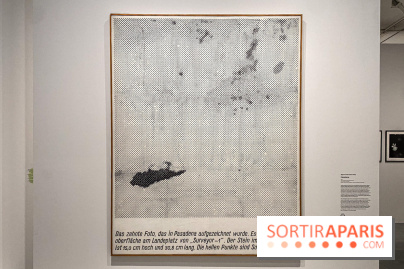 Dans le Flou, l'exposition dans le brouillard au Musée de l'Orangerie - IMG 5294