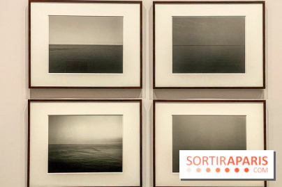 Dans le Flou, l'exposition dans le brouillard au Musée de l'Orangerie - IMG 5298