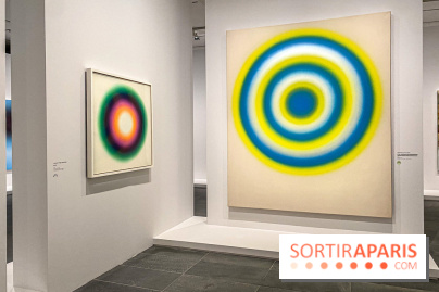 Dans le Flou, l'exposition dans le brouillard au Musée de l'Orangerie - IMG 5299