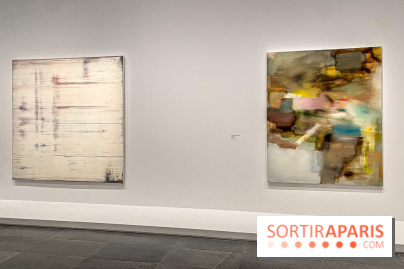 Dans le Flou, l'exposition dans le brouillard au Musée de l'Orangerie - IMG 5300