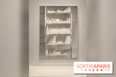 Dans le Flou, l'exposition dans le brouillard au Musée de l'Orangerie - IMG 5301