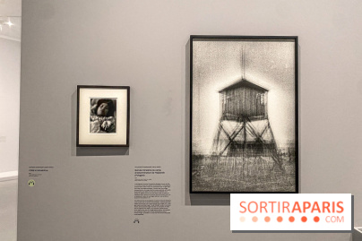 Dans le Flou, l'exposition dans le brouillard au Musée de l'Orangerie - IMG 5302