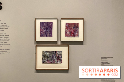 Dans le Flou, l'exposition dans le brouillard au Musée de l'Orangerie - IMG 5303