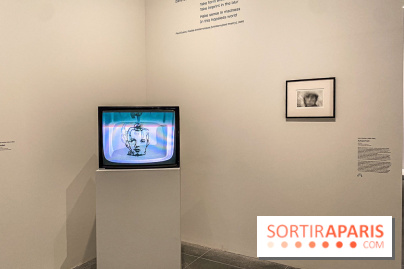 Dans le Flou, l'exposition dans le brouillard au Musée de l'Orangerie - IMG 5306