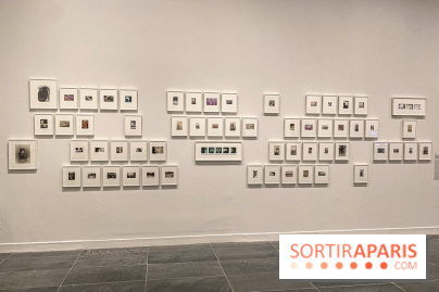 Dans le Flou, l'exposition dans le brouillard au Musée de l'Orangerie - IMG 5308