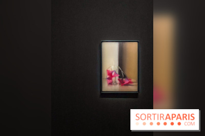 Dans le Flou, l'exposition dans le brouillard au Musée de l'Orangerie - IMG 5310