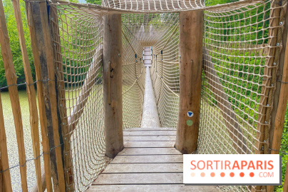 Mission Forêt - IMG 2142