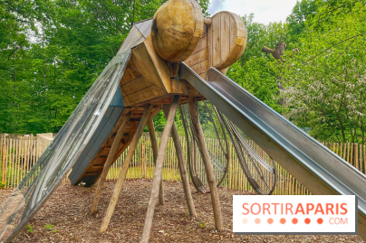 Mission Forêt - IMG 2145