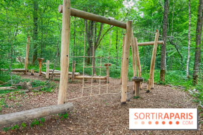 Mission Forêt - IMG 2149