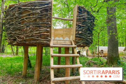 Mission Forêt - IMG 2151