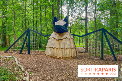 Mission Forêt - IMG 2152