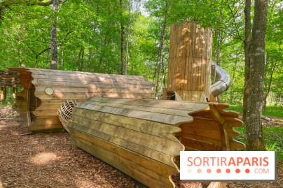 Mission Forêt - IMG 2153