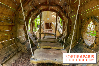 Mission Forêt - IMG 2154