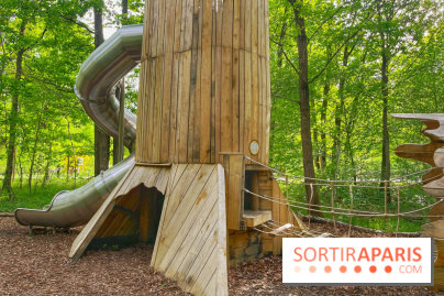 Mission Forêt - IMG 2155