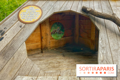 Mission Forêt - IMG 2156