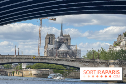 Brunch croisière à volonté sur la Seine – Le Diamant Bleu Paris