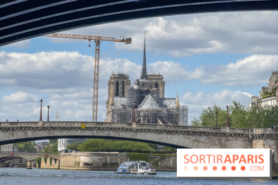 Brunch croisière à volonté sur la Seine – Le Diamant Bleu Paris
