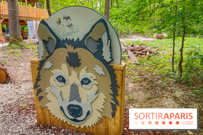 La Forêt des Loups - IMG 2086