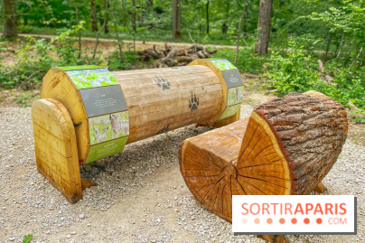 La Forêt des Loups - IMG 2098