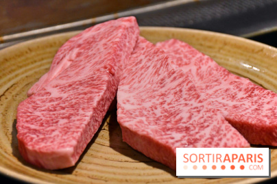 Ayako Paris, le restaurant pour les amoureux du Teppanyaki - DSC 3950 Fotor