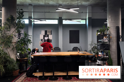 Maison Python : Salon de Tatouage - IMG 4944 jpg