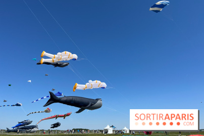 Festival de Cerfs-Volants à la Base 217 - IMG 2186