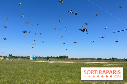 Festival de Cerfs-Volants à la Base 217