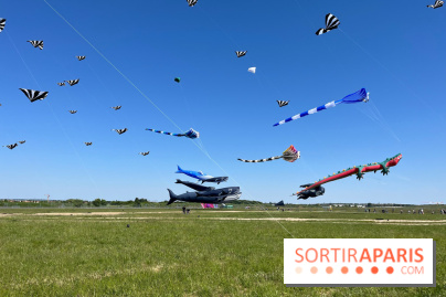 Festival de Cerfs-Volants à la Base 217 - IMG 2190