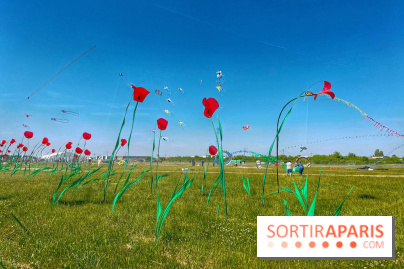 Festival de Cerfs-Volants à la Base 217 - IMG 2192