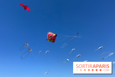 Festival de Cerfs-Volants à la Base 217