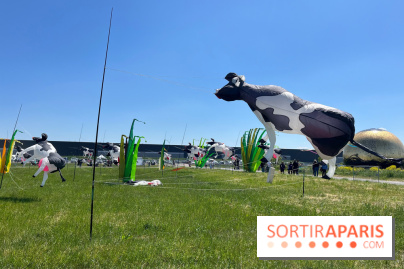 Festival de Cerfs-Volants à la Base 217