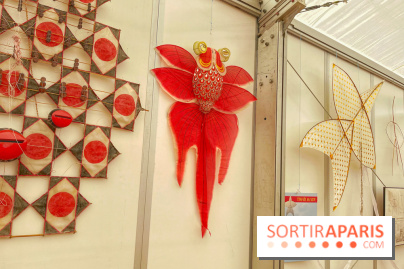 Festival de Cerfs-Volants à la Base 217 - IMG 2198