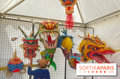 Festival de Cerfs-Volants à la Base 217 - IMG 2205