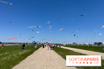 Festival de Cerfs-Volants à la Base 217 - IMG 2207