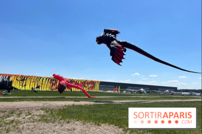 Festival de Cerfs-Volants à la Base 217 - IMG 2209