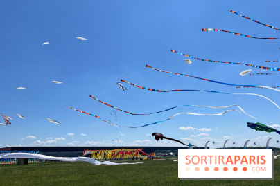 Festival de Cerfs-Volants à la Base 217 - IMG 2211