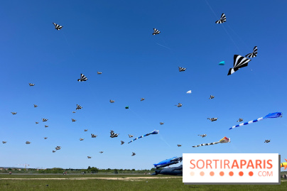 Festival de Cerfs-Volants à la Base 217 - IMG 2212