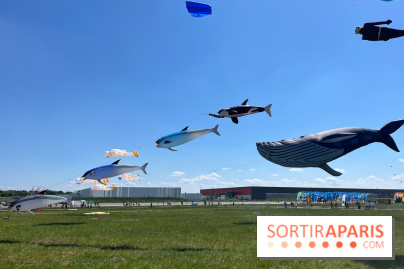 Festival de Cerfs-Volants à la Base 217 - IMG 2215