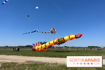 Festival de Cerfs-Volants à la Base 217 - IMG 2217