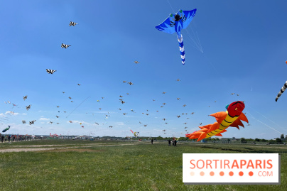 Festival de Cerfs-Volants à la Base 217 - IMG 2218