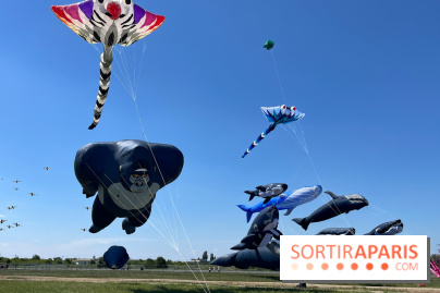 Festival de Cerfs-Volants à la Base 217