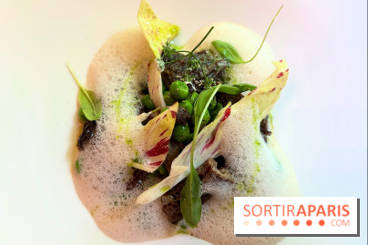 Villa9Trois - Morilles à l'étuvée