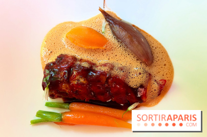 Villa9Trois - Homard, romarin, carottes