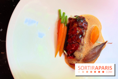 Villa9Trois - Homard, romarin, carottes