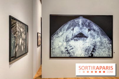 Jean Gaumy et la Mer : l'exposition maritime intimiste au Musée de la Marine