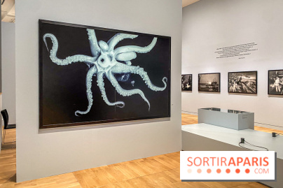 Jean Gaumy et la Mer : l'exposition maritime intimiste au Musée de la Marine - IMG 5473